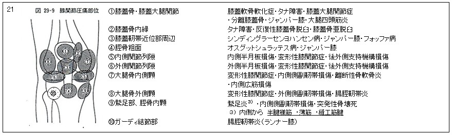 膝の痛み01
